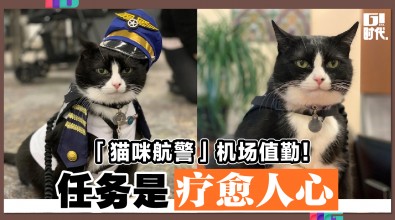 「猫咪航警」机场值勤！ 任务是疗愈人心