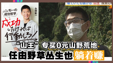 “山王”专买0元山野荒地 任由野草丛生也躺着赚