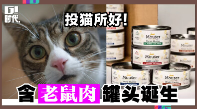 投猫所好！ 含老鼠肉罐头诞生