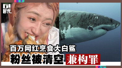 百万网红烹食大白鲨 粉丝被清空兼构罪