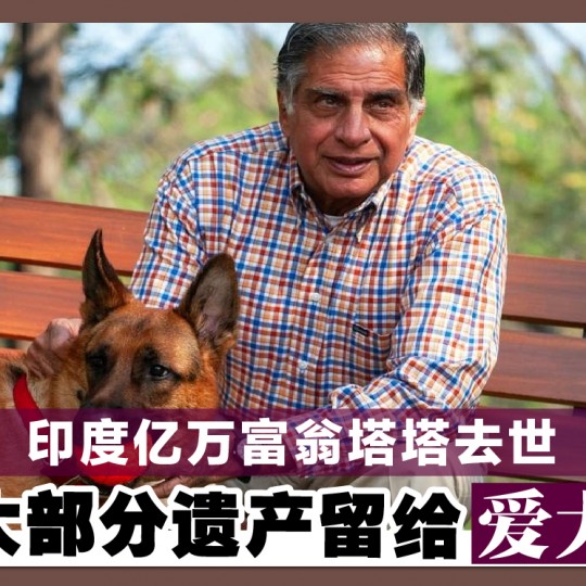 印度亿万富翁塔塔去世 大部分遗产留给爱犬