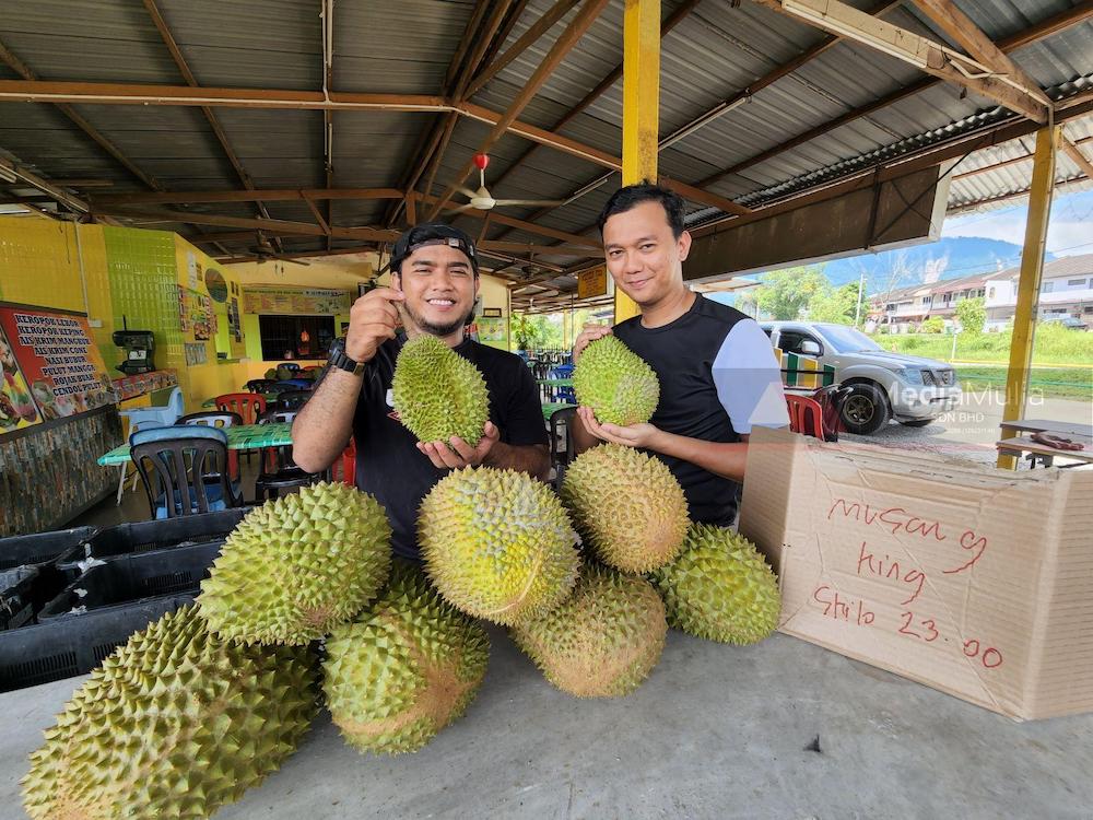 musang-king-bentong-laris