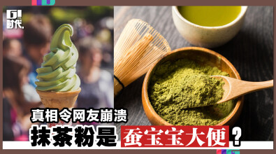 真相令网友崩溃，抹茶粉是“蚕宝宝大便”？